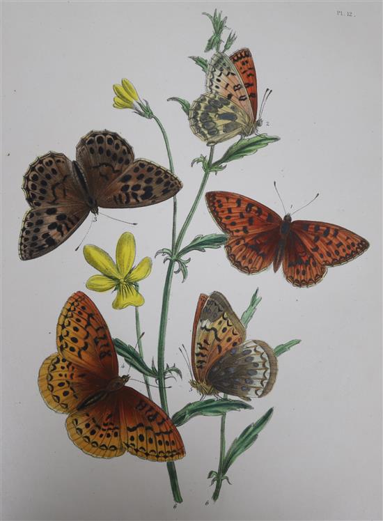 Humphreys and Westwood - two books on Moths and one of Butterflies